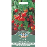 UK/FO-TOMATO Tumbling Tom Red - image 1