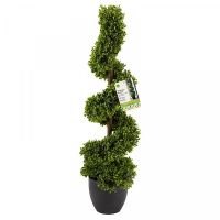 Topiary Twirl 90Cm - image 2