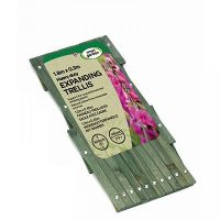 Trellis Exp Green 1.8X0.6M