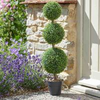 Trio Topiary Tree 80cm - image 2