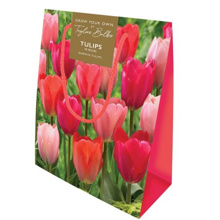 Tulip Darwin Gift Bag