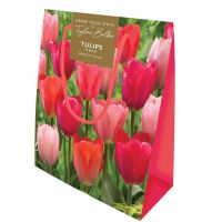 TULIP DARWIN GIFT BAG