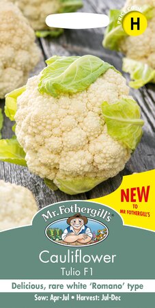 UK/FO-CAULIFLOWER Tulio F1