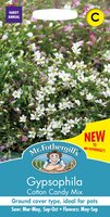 UK/FO-GYPSOPHILA Cotton Candy Mix