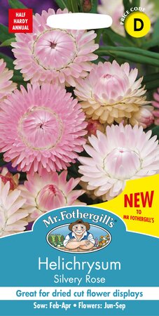 UK/FO-HELICHRYSUM Silvery Rose