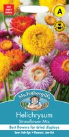 UK/FO-HELICHRYSUM Strawflower Mix