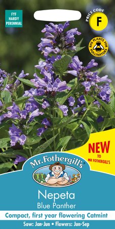 UK/FO-NEPETA Blue Panther