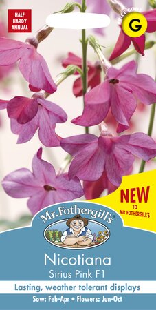 UK/FO-NICOTIANA Sirius Pink