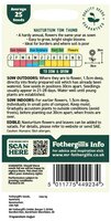UK/FO-SS-NASTURTIUM Dwarf Mix - image 2
