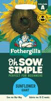 UK/FO-SS-SUNFLOWER Giant - image 1
