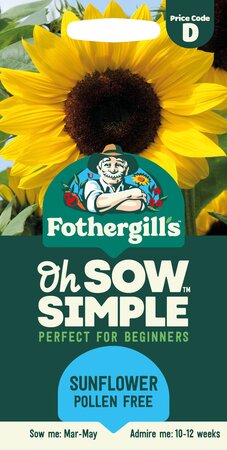UK/FO-SS-SUNFLOWER Pollen Free - image 1