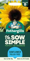 UK/FO-SS-SUNFLOWER Pollen Free - image 1