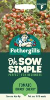 UK/FO-SS-TOMATO Dwarf Cherry - image 1