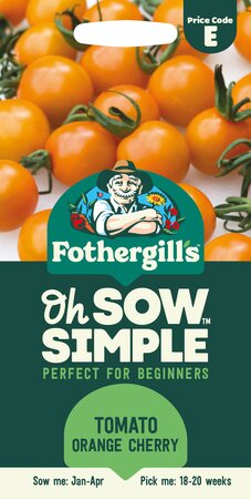 UK/FO-SS-TOMATO Orange Cherry - image 1