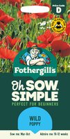 UK/FO-SS-WILD Poppy - image 1