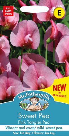 UK/FO-SWEET PEA Pink Tangier Pea - image 1