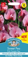 UK/FO-SWEET PEA Pink Tangier Pea - image 1