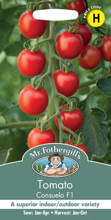 UK/FO-TOMATO Consuelo F1
