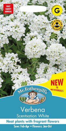 UK/FO-VERBENA Scentsation White
