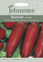 UK/JO-BEETROOT Cylindra - image 4