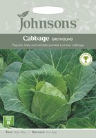 UK/JO-CABBAGE Greyhound - image 1