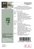 UK/JO-CABBAGE Greyhound - image 2