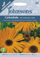 UK/JO-CALENDULA Pot Marigold Nova - image 2