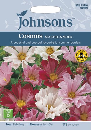 UK/JO-COSMOS Sea Shells Mixed