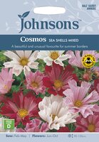 UK/JO-COSMOS Sea Shells Mixed
