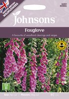 UK/JO-Foxglove