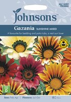 UK/JO-GAZANIA Sunshine Mixed
