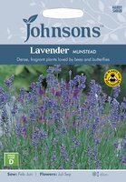 UK/JO-LAVENDER Munstead