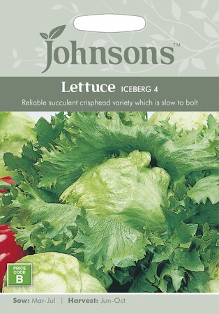 UK/JO-LETTUCE Iceberg 4