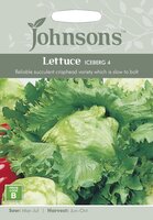UK/JO-LETTUCE Iceberg 4