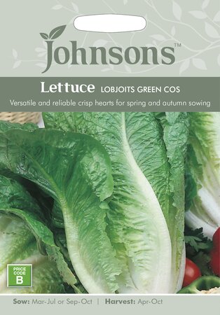 UK/JO-LETTUCE Lobjoits Green Cos