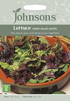 UK/JO-LETTUCE Mixed Salad Leaves