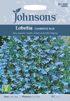 UK/JO-LOBELIA Cambridge Blue