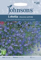 UK/JO-LOBELIA (Trailing) Sapphire