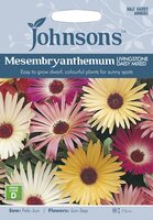 UK/JO-MESEMBRYANTHEMUM Livingstone Daisy Mixed - image 1