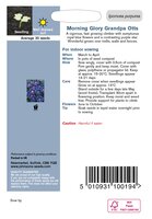 UK/JO-MORNING GLORY Grandpa Otts - image 2