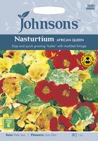 UK/JO-NASTURTIUM African Queen