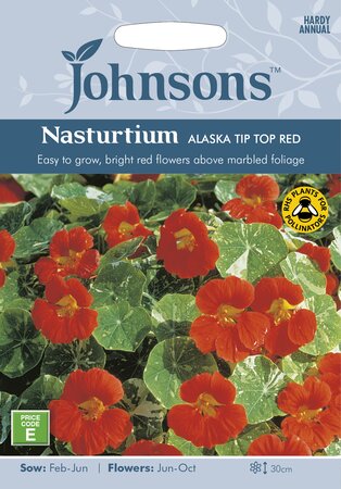 UK/JO-NASTURTIUM Alaska Tip Top Red