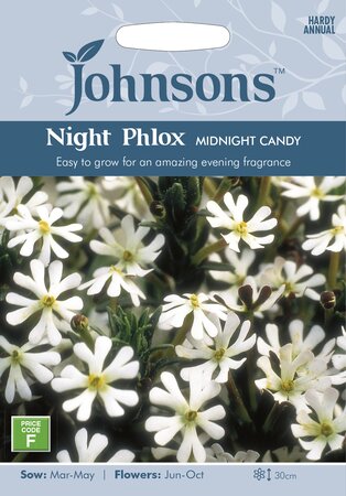 UK/JO-NIGHT PHLOX Midnight Candy - image 1