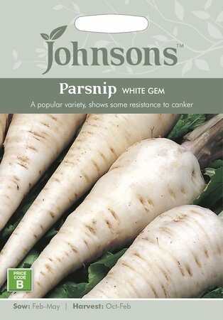 UK/JO-PARSNIP White Gem - image 1
