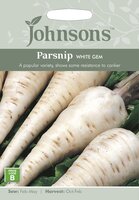 UK/JO-PARSNIP White Gem - image 3