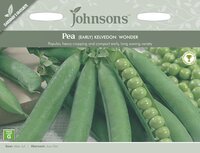 UK/JO-PEA Kelvedon Wonder - image 2