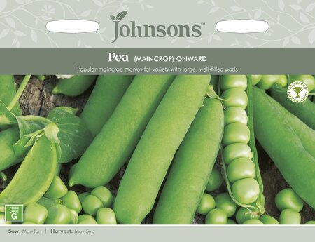 UK/JO-PEA Onward - image 1