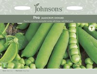 UK/JO-PEA Onward - image 4