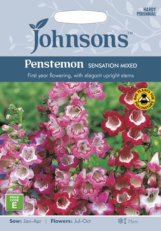 UK/JO-PENSTEMON Sensation Mixed