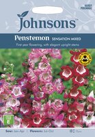 UK/JO-PENSTEMON Sensation Mixed